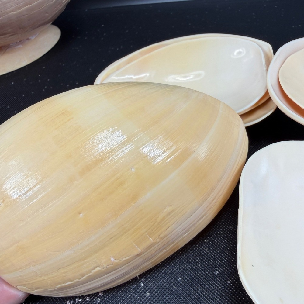 Vintage Hand Carved Conch Shell Bowl Set 9 Dishes Servers Coastal w Utensils - Picture 11 of 16